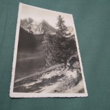 Cumpara ieftin CARTE POSTALA INTERBELICA NECIRCULATA