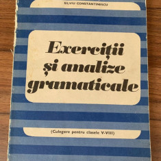 EXERCITII SI ANALIZE GRAMATICALE - Silviu Constantinescu