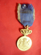 Medalia Serviciul Credincios cl.I metal aurit foto