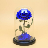 Cumpara ieftin Trandafir Criogenat Bonita albastru &Oslash;9,5cm, cupola mare