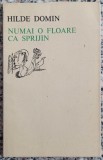 Numai o floare ca sprijin - Hilde Domin