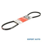 Curea transmisie cu caneluri Lexus IS I (JCE1_, GXE1_) 1999-2005