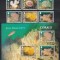 Jersey 2004 - Viața marină - Coralii, Seire + Colita, MNH