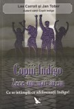 Lee Carroll, Jan Tober - Copiii Indigo zece ani mai tarziu. Ce se intampla cu