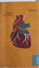 Climate - Andre Maurois, Curtea Veche Publishing, Carte de Buzunar, Roman, 2010, 234 pagini, Paperback