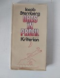 Oras in profil, Iacob Sternberg, Editura Kriterion, in romaneste de Iosif H. Andronic si Andrei Roman