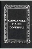 Canoanele Maicii Domnului