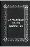 Canoanele Maicii Domnului