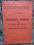 EXPERIMENTUL PEDAGOGIC PRIN METODA INTEGRALA A GRUPELOR ECHIVALENTE - BRANDZA