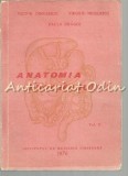 Cumpara ieftin Anatomia Abdomenului II, Paula Dragoi, 1976, Timisoara, Medicina, 317 pagini