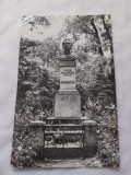 Carte postala statuia lui ciprian porumbescu