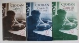 CIORAN , 1957 - 1972 , CAIETE , VOLUMELE I - III , 2010