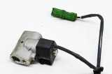 Supapa de expansiune aer condiționat RENAULT ZOE BFM_ 2016 OEM: 924871682R,443310-1163 | 13648856