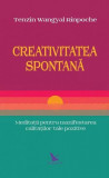 Creativitatea spontană - Paperback brosat - Tenzin Wangyal Rinpoche - For You