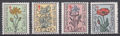 Belgia 1949 - Plante cu flori - Lupta &amp;icirc;mpotriva tuberculozei, MNH foto