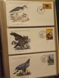 FAUNA WWF - 3 PLICURI PRIMA ZI