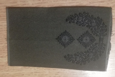 C1 21 - Grade militare - straine - piesa de colectie! foto