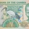 Bancnota Gambia 10 Dalasis (2006) - P26 UNC ( vezi descriere )