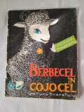 Berbecel in cojocel-Viorica Tomescu