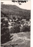 CPIB 22683 - CARTE POSTALA - VEDERE DIN OLANESTI, RPR