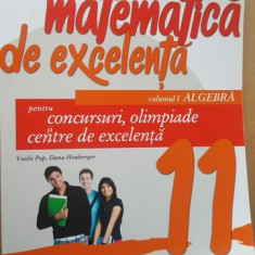 Matematica de excelenta 1 clasa a 11-a - Vasile Pop, Dana Heuberger