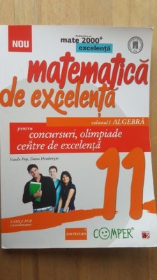 Matematica de excelenta 1 clasa a 11-a - Vasile Pop, Dana Heuberger foto