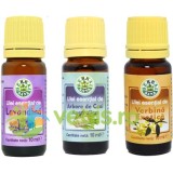 Pachet Uleiuri Esentiale de Aromoterapie: Ulei de Lavandina (Lavanda) 10ml + Ulei de Tea Tree (Arbore de Ceai) 10ml + Ulei de Verbina Exotica 10ml
