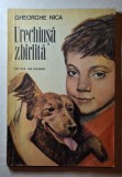 Urechiușă zb&acirc;rlită &ndash; Gheorghe Nica (Editura Ion Creangă 1977) carte copii