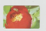 bnk card Cartele telefonice - Romania Romtelecom 2003 Flowers 8 (1st Printing) - Col:RO-ROM-0185A