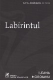 Cumpara ieftin Labirintul - Paperback brosat - Cartea Rom&acirc;nească