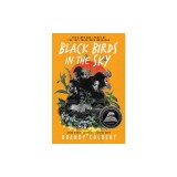 Black Birds in the Sky: The Story and Legacy of the 1921 Tulsa Race Massacre