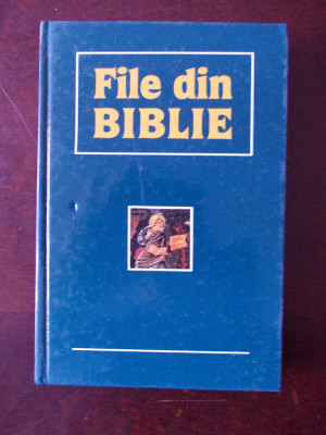 FILE DIN BIBLIE, r6c foto