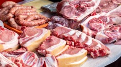 Porci rasa landrace danez cu pie&amp;#039;train. foto