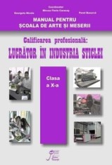 Manual pentru Scoala de Arte si Meserii. Calificarea profesionala: Lucrator in industria sticlei. Clasa a X-a (carte cu defect minor)/Mircea Florin Ca