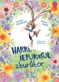 Harri, iepurașul zburător - Florian Beckerhoff