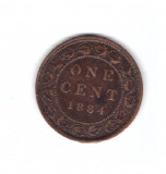 Moneda Canada 1 cent 1884, stare foarte buna, curata, America de Nord, Bronz