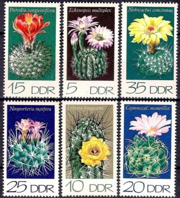 DDR 1974 - Flori de cactus, serie neuzata foto