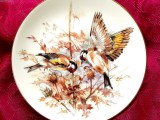 FARFURIE PORTELAN ENGLEZESC WORCESTER FINE BONE CHINA PASARI STICLETI