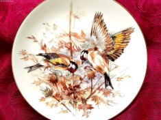 FARFURIE PORTELAN ENGLEZESC WORCESTER FINE BONE CHINA PASARI STICLETI