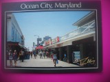 HOPCT 7645 OCEAN CITY-MARYLAND -SUA-AMERICA DE NORD -CIRCULATA, Printata