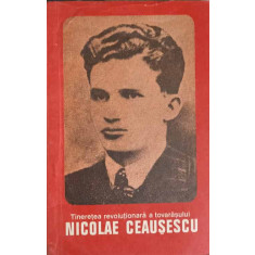 TINERETEA REVOLUTIONARA A TOVARASULUI NICOLAE CEAUSESCU-OLIMPIU MATICHESCU