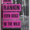 EVEN DOGS IN THE WILD by IAN RANKIN , 2015