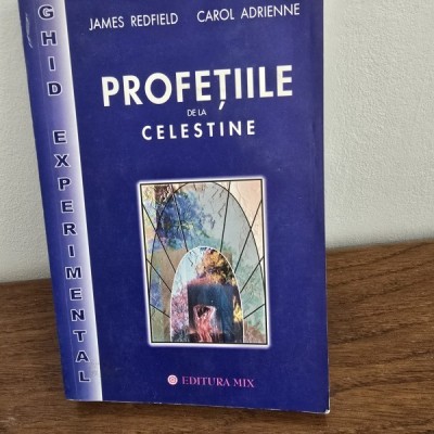 Profetile de la Celestine - J. Redfield foto
