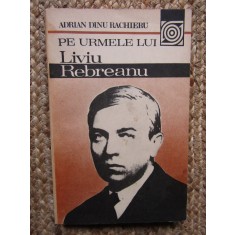 PE URMELE LUI LIVIU REBREANU-ADRIAN DINU RACHIERU
