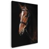 Tablou cal brun roscat (murg) Tablou canvas pe panza CU RAMA 60x80 cm