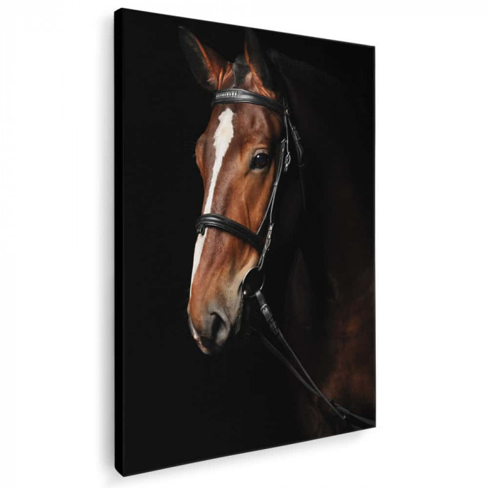 Tablou cal brun roscat (murg) Tablou canvas pe panza CU RAMA 60x80 cm