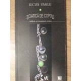 SCIATICA DE COPOU TABLETE SI ENUNTURI CIVICE-LUCIAN VASILIU-228463