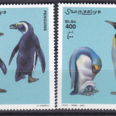 DB1 Fauna Pasari Somalia Pinguini 4 v. MNH