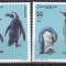 DB1 Fauna Pasari Somalia Pinguini 4 v. MNH