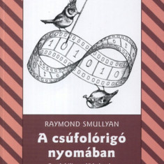 A csúfolórigó nyomában - Egy lebilincselő kaland a kombinatorikus logika világában - Egy lebilincselő kaland a kombinatorikus logika világában - Raymo